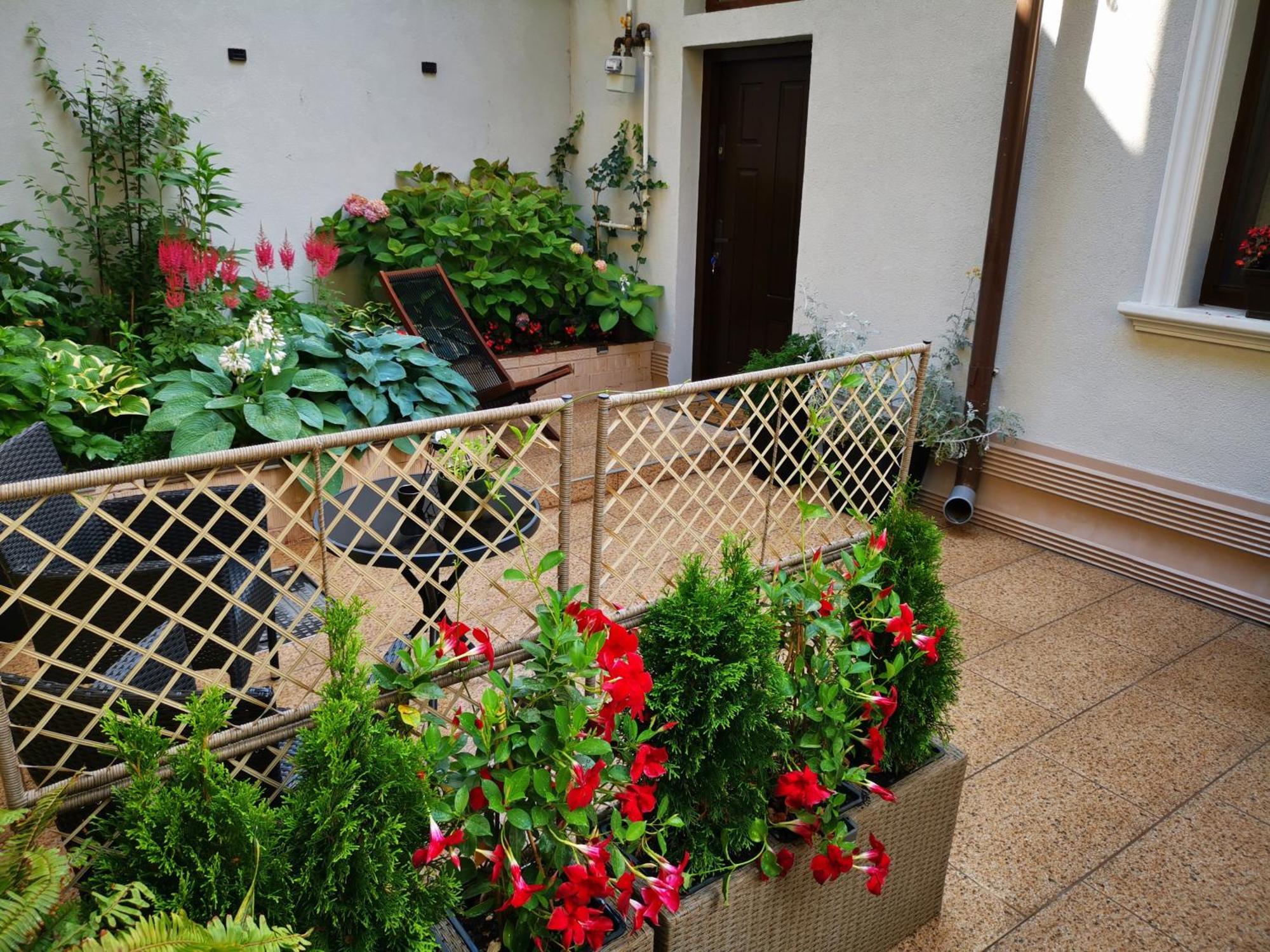 Cozy Green House 부쿠레슈티 외부 사진